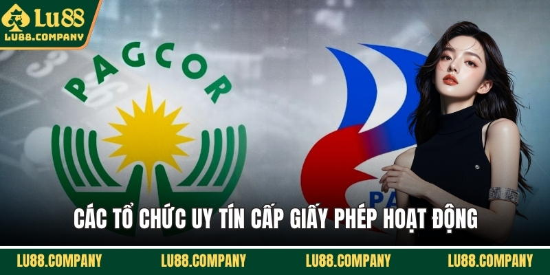 Các tổ chức uy tín cấp giấy phép hoạt động