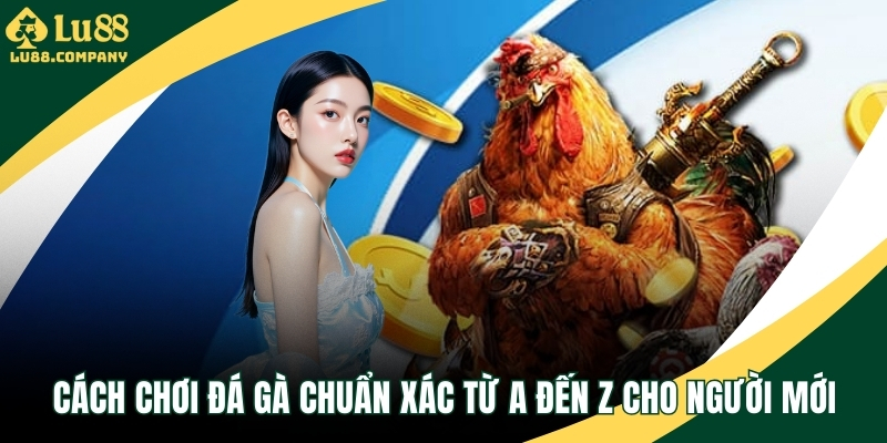 Cách chơi đá gà