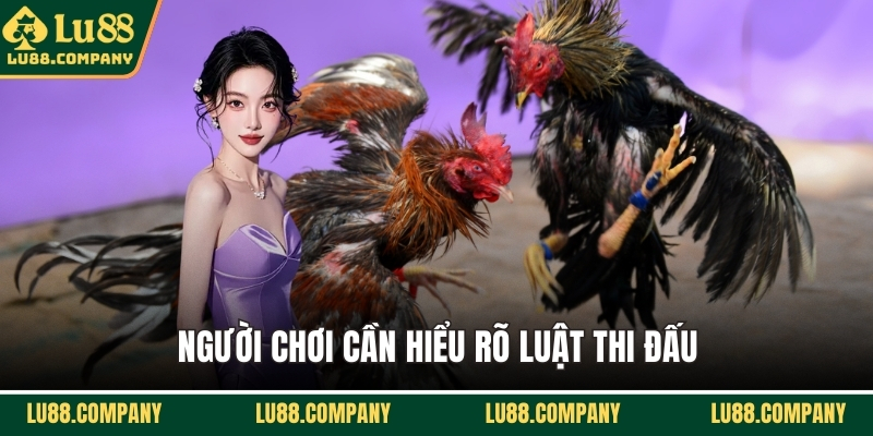 Người chơi cần hiểu rõ luật thi đấu